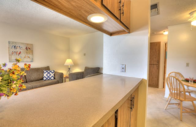 Casa Del Rey Sur Gallery 3