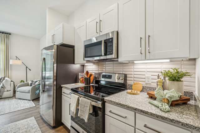 The Leo - 55+ Active Adult Apartment Homes - Myrtle Beach, SC