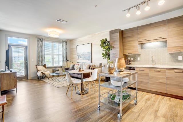 その他 one room One 305 Central - Charlotte, NC apartments for rent