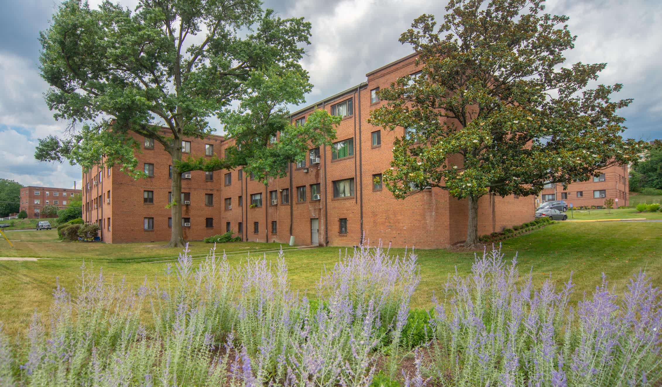 Chillum Terrace – photo 1