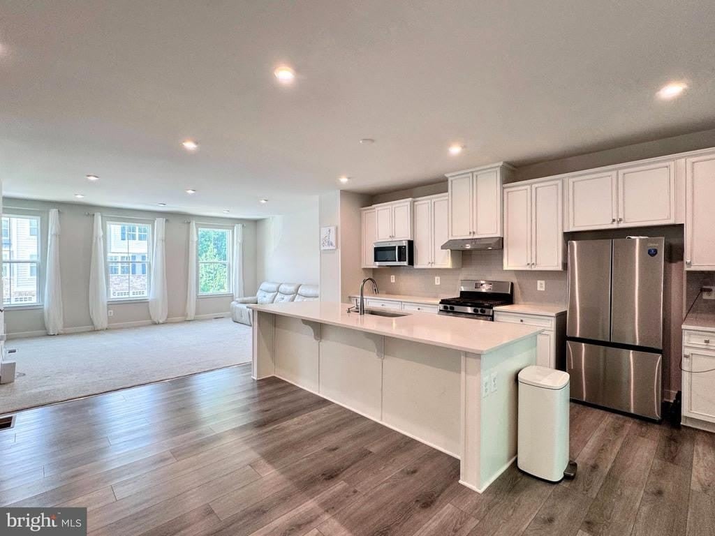 812 CANARY ISLAND COURT – photo 1 of 31