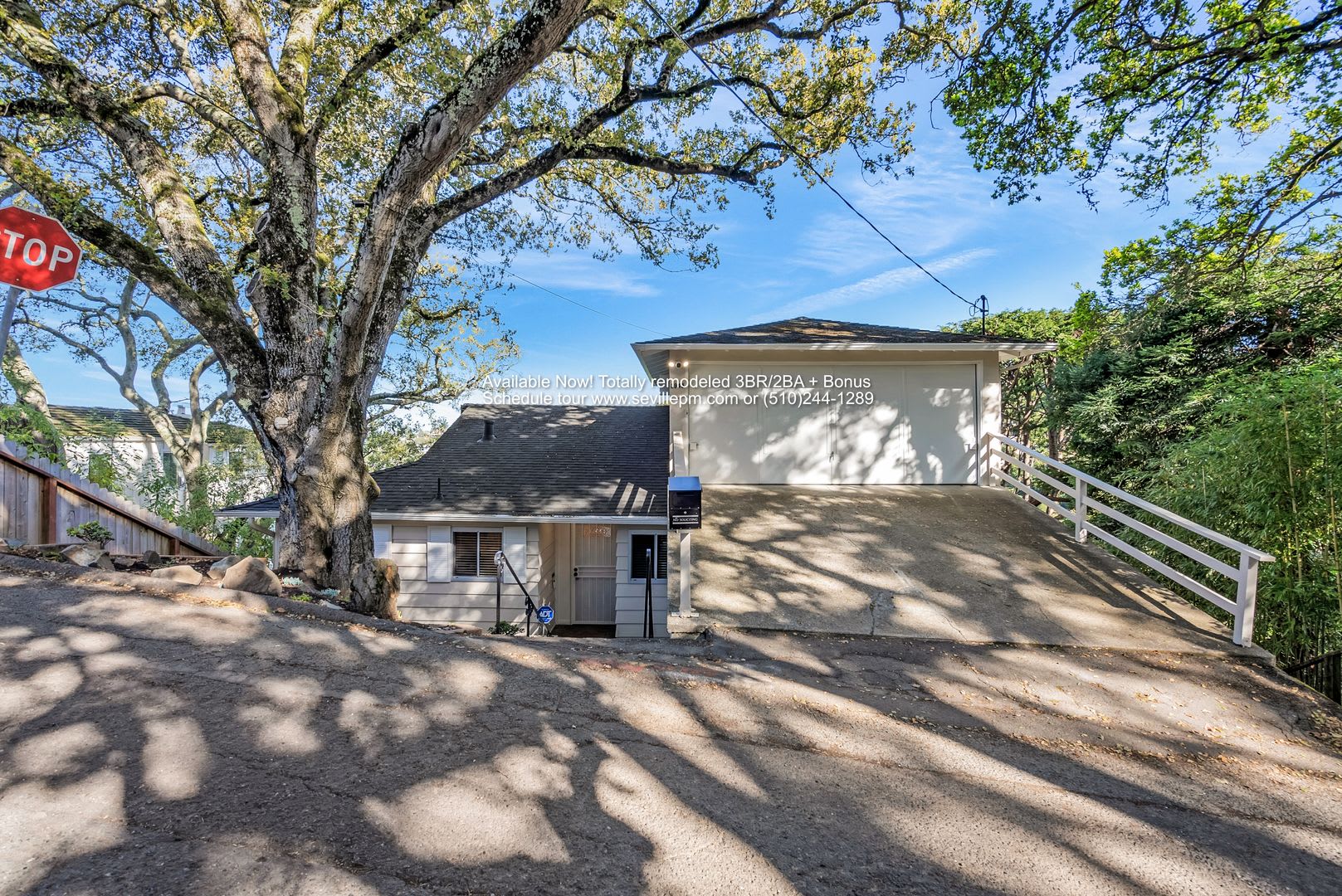 COMING SOON! Beautiful Updated 3-Bedroom Home in Coveted Piedmont Pines – Montclair Living at Its Best! – photo 1