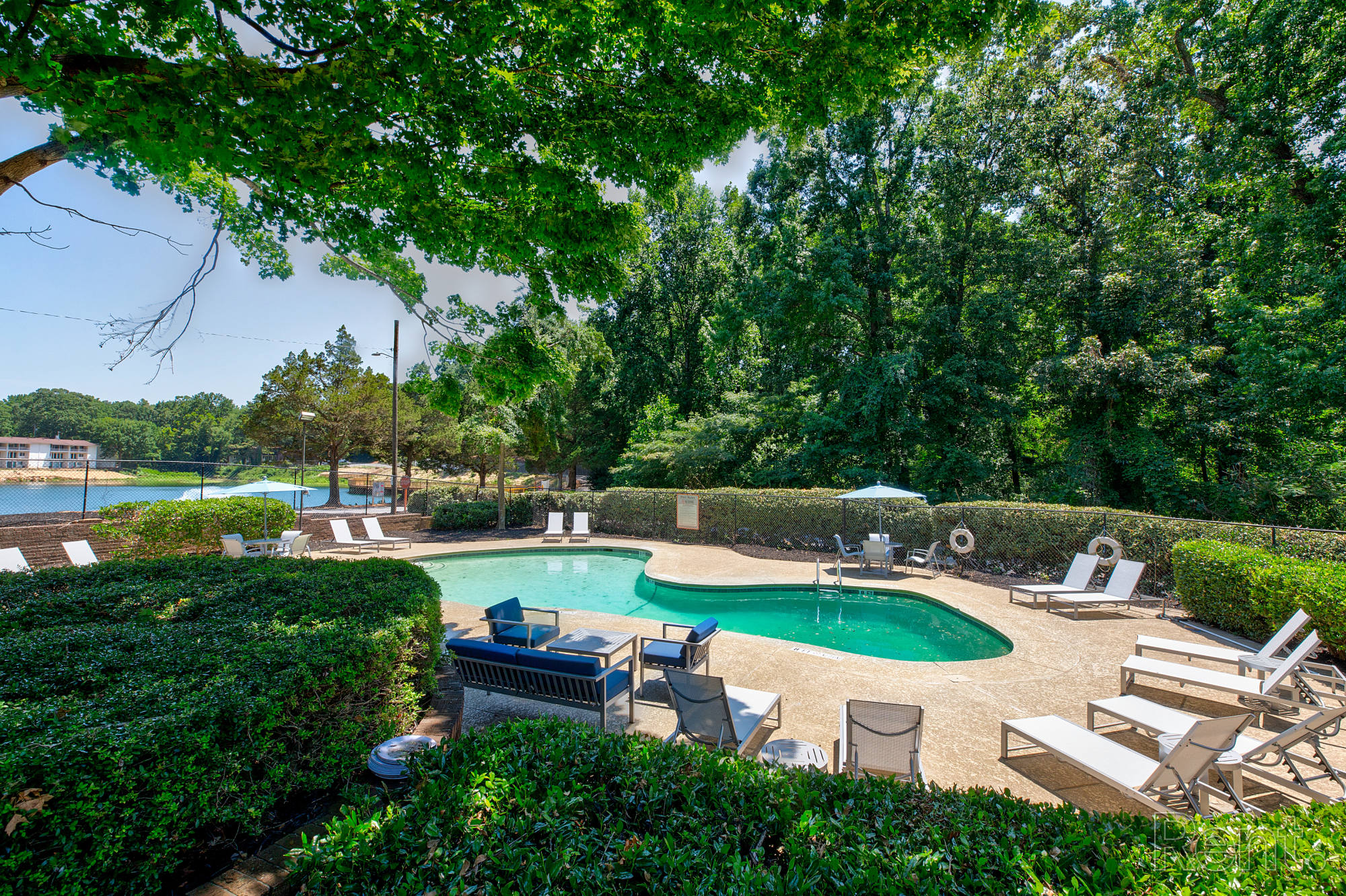Elite at City View – photo 1 of 25