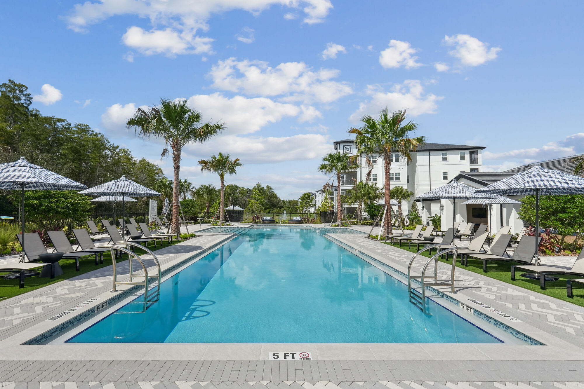 Ascend Angeline – photo 1 of 65