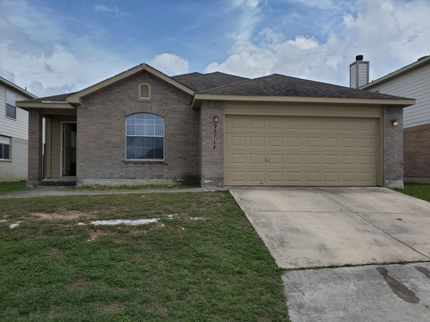25714 Gold Yarrow – photo 1 of 20