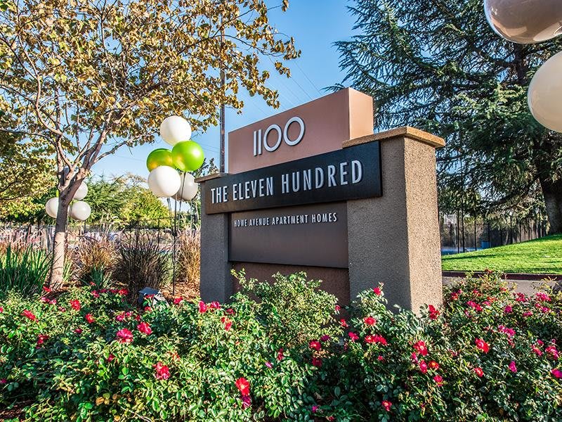 The Eleven Hundred – photo 1