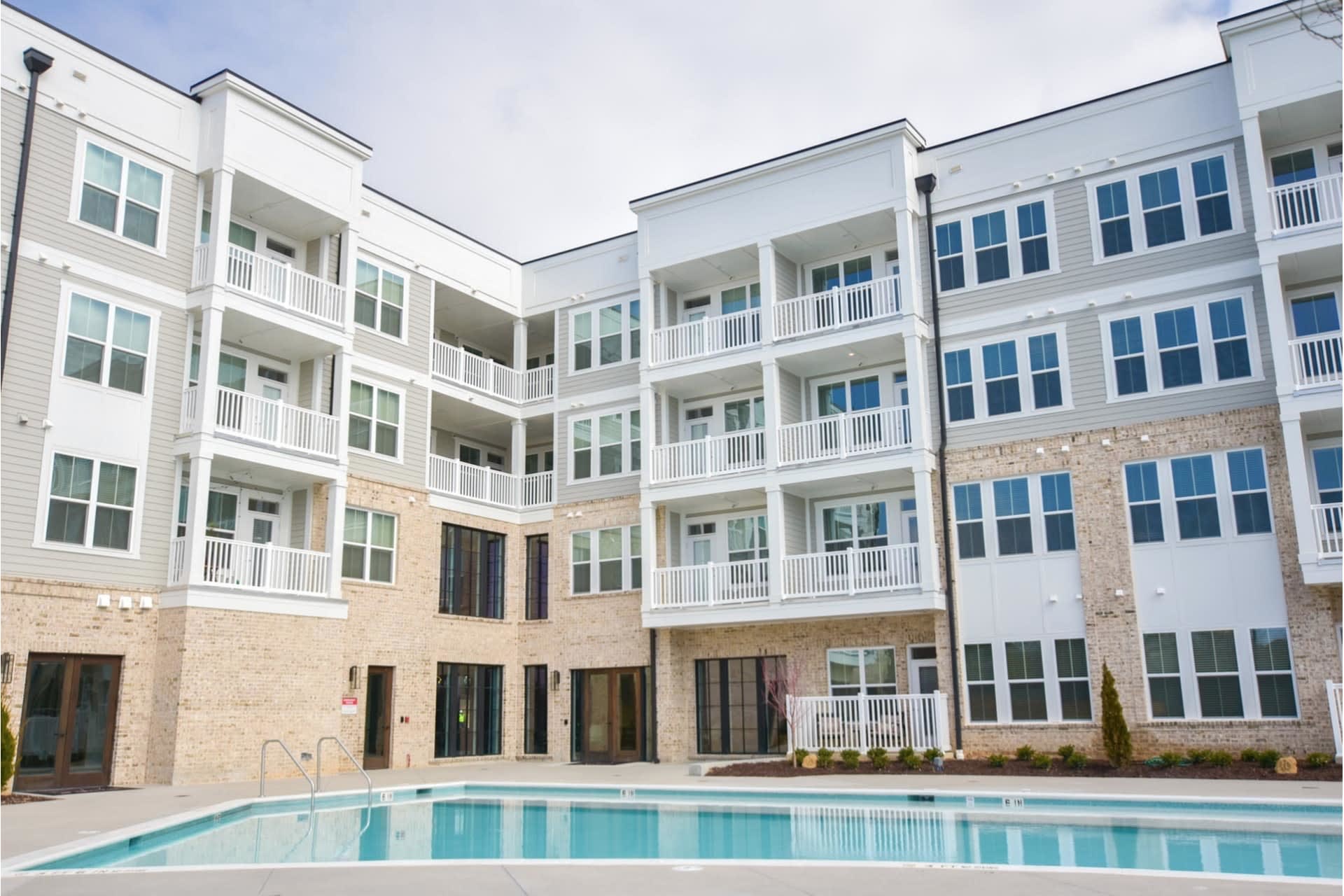 The Ivy at Ariston – photo 1 of 41