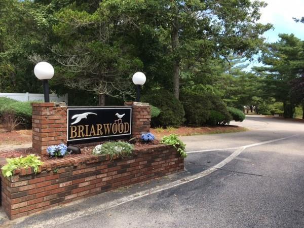 42 Pine Valley Dr – photo 1 of 18