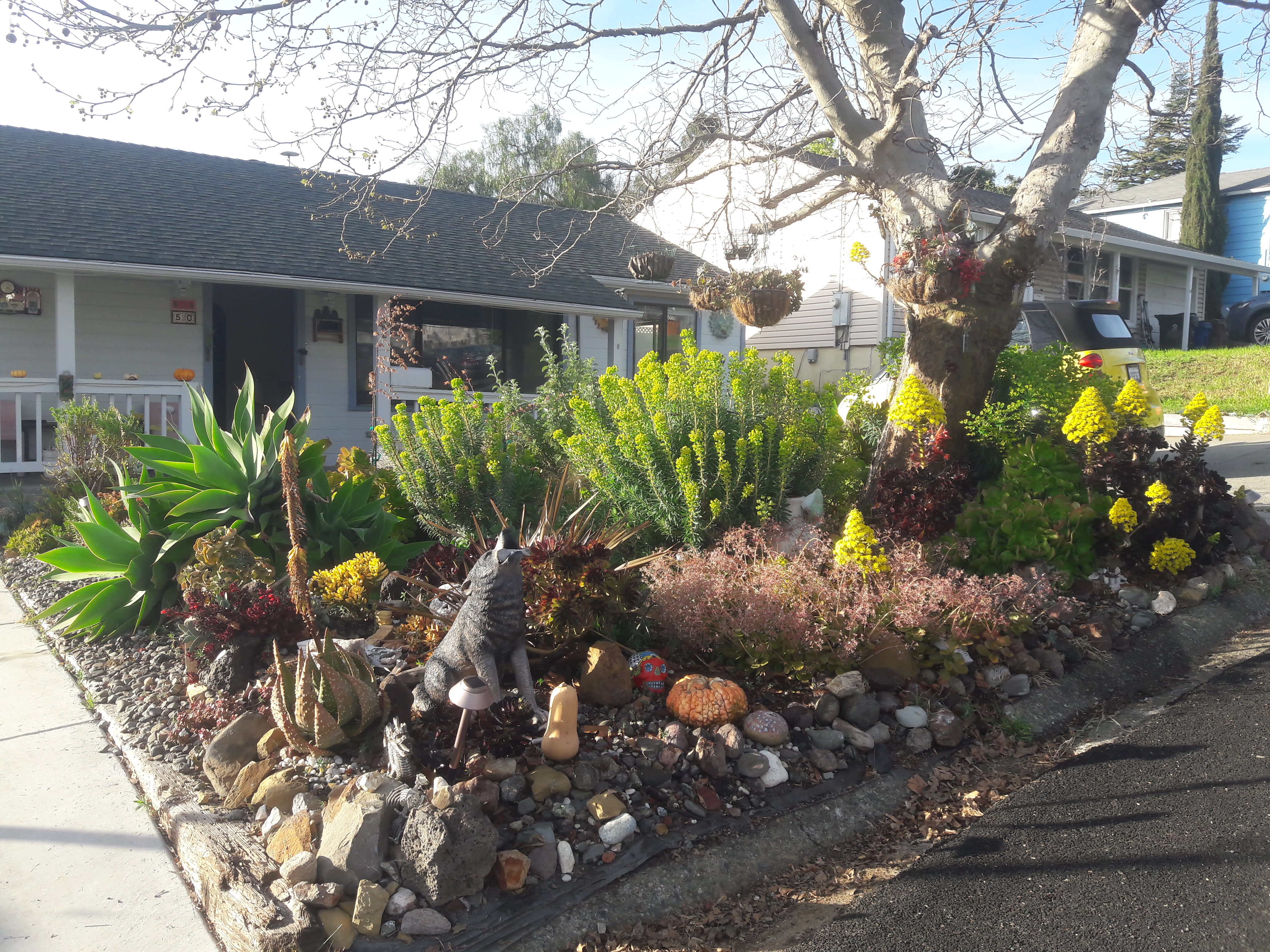 50 La Cruz Avenue – photo 1 of 46