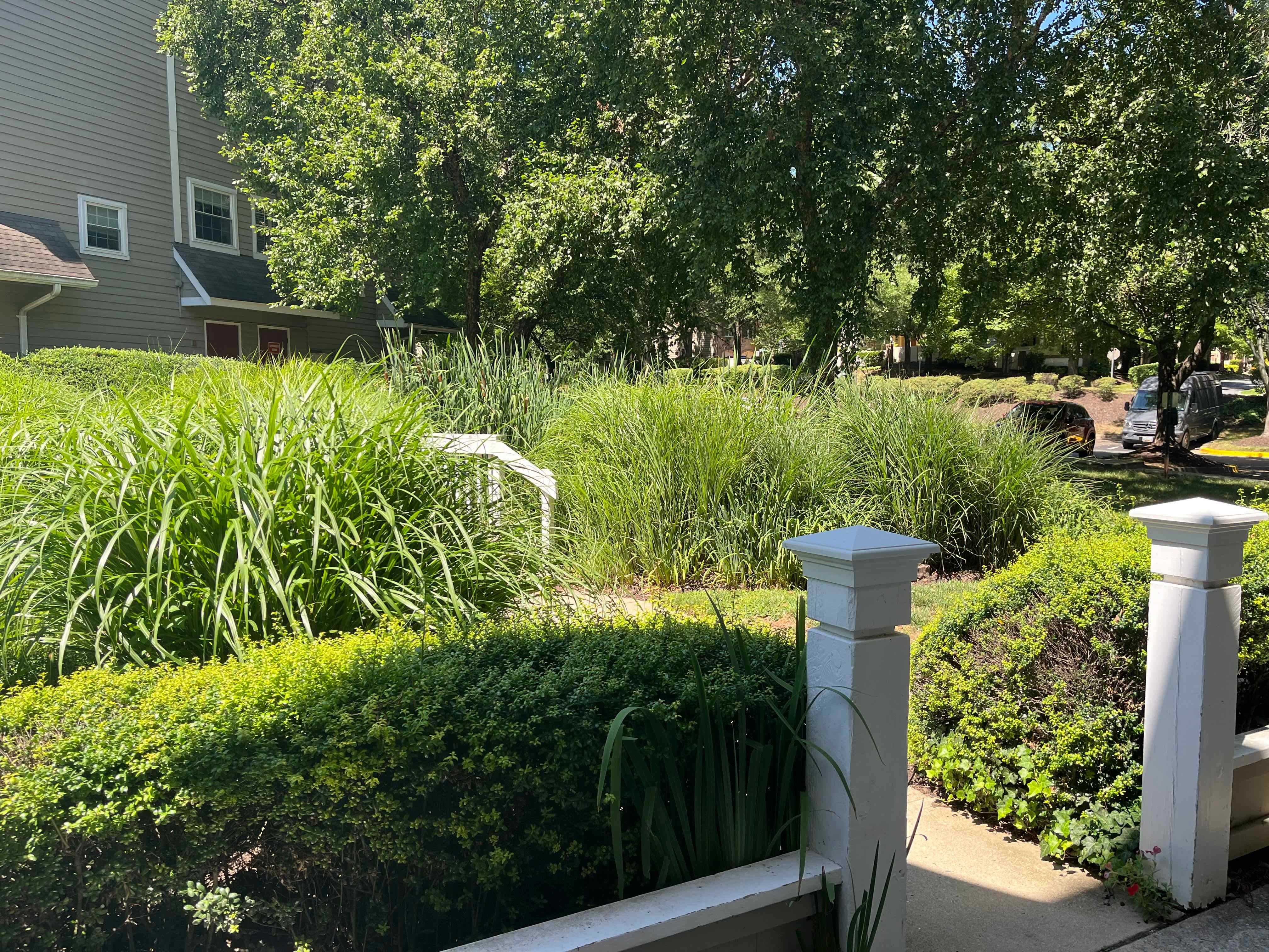 5701 Chapman Mill Drive – photo 1