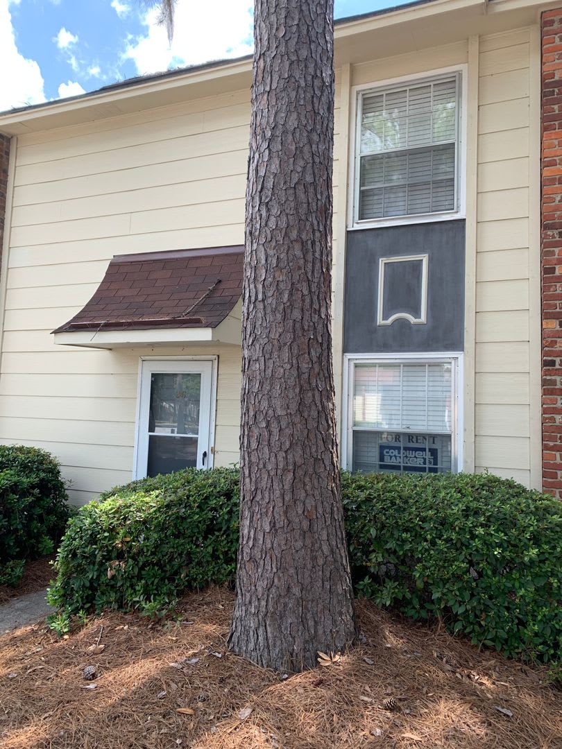Southside-Near Oglethorpe Mall & South College – photo 1
