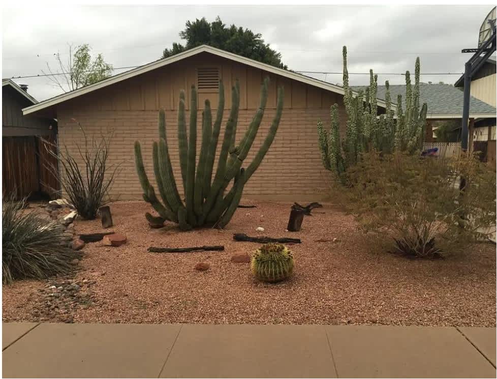 1434 E Del Rio Drive – photo 1 of 11