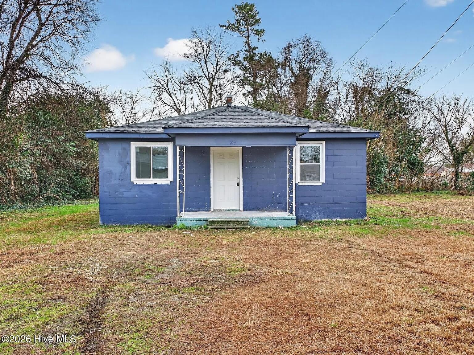 254 Japonica Avenue – photo 1