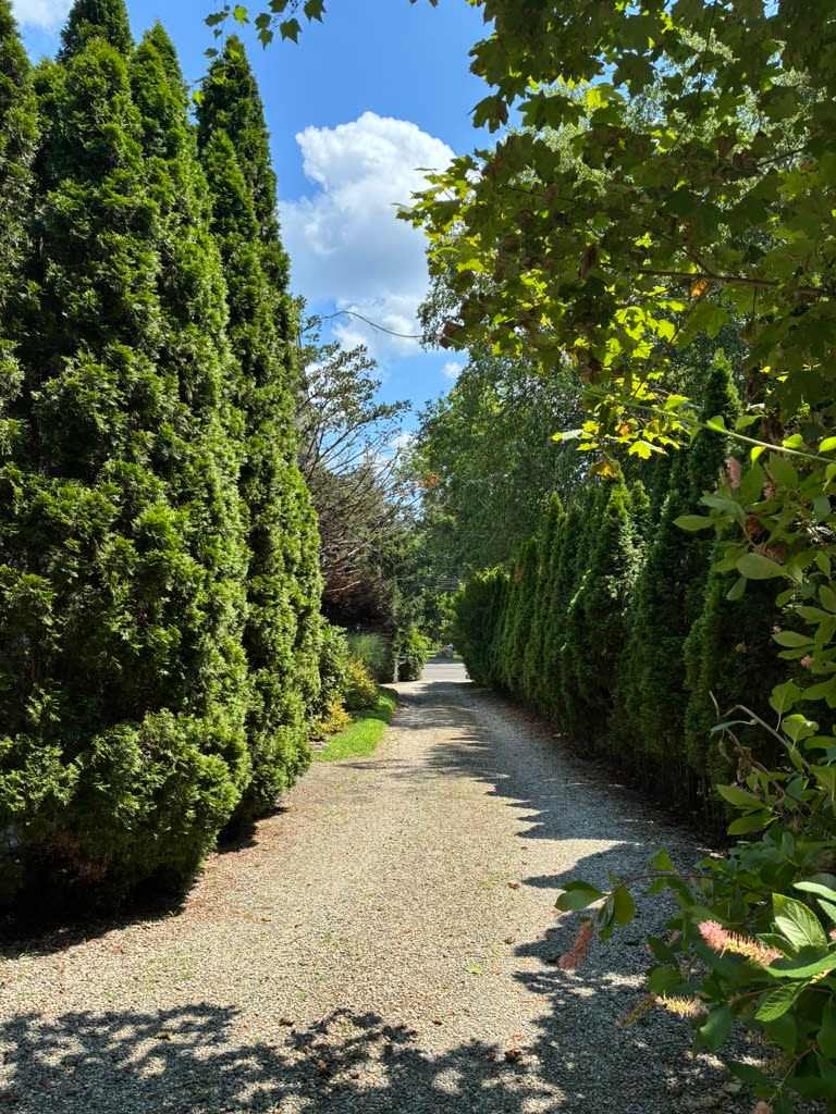 408 Riverside Avenue – photo 1