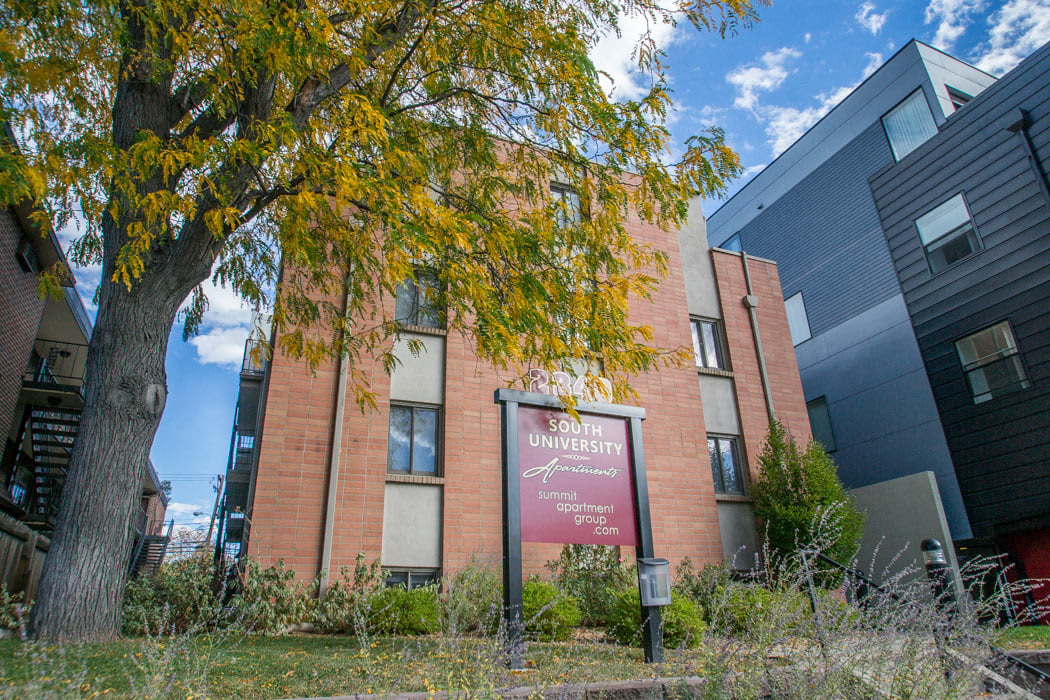 South University – photo 1