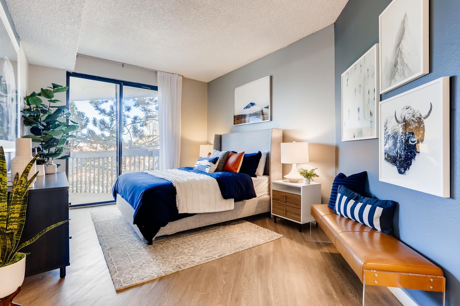 Alta Springs – photo 1