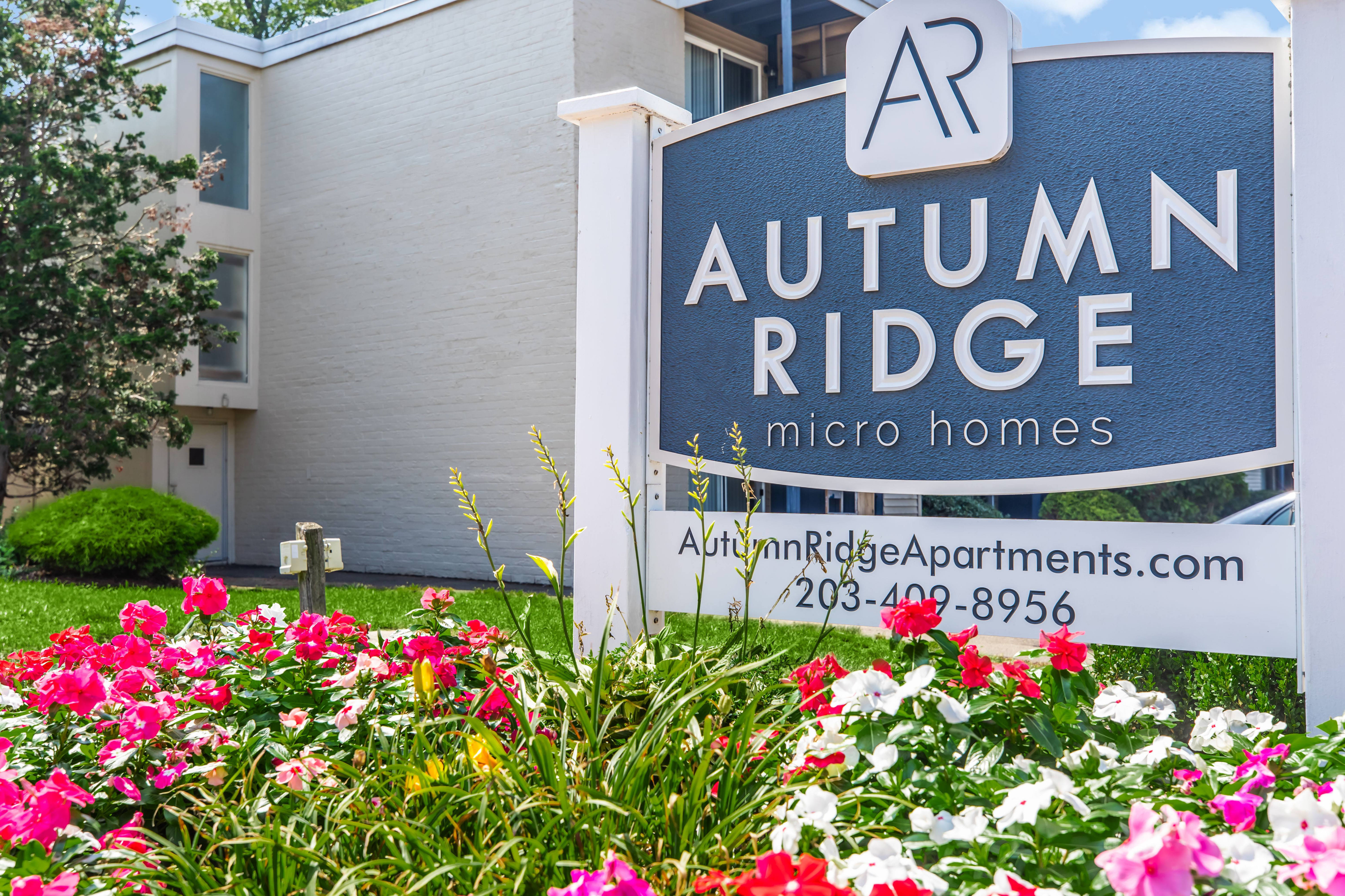Autumn Ridge – photo 1 of 18