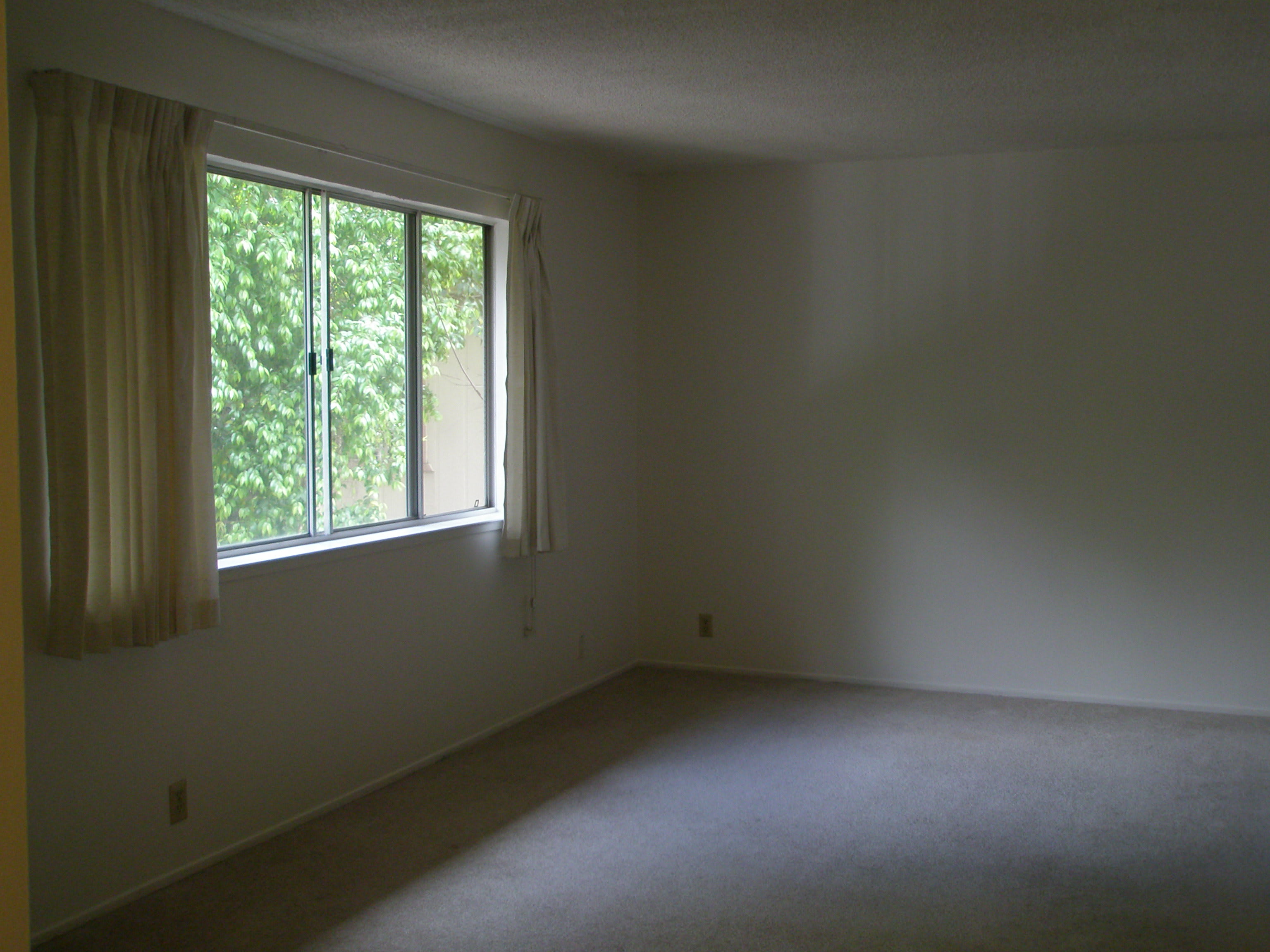 1411 Drake Drive – photo 1 of 8