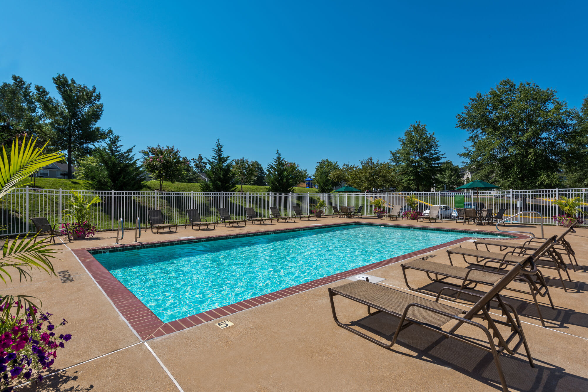 Arbor Grove – photo 1 of 32
