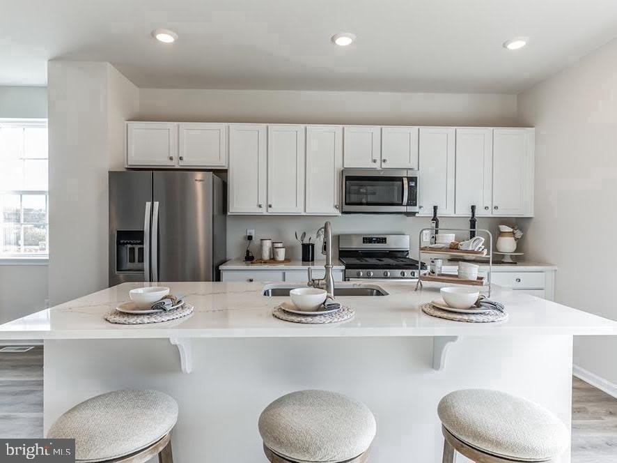 260 MACOUN Way – photo 1