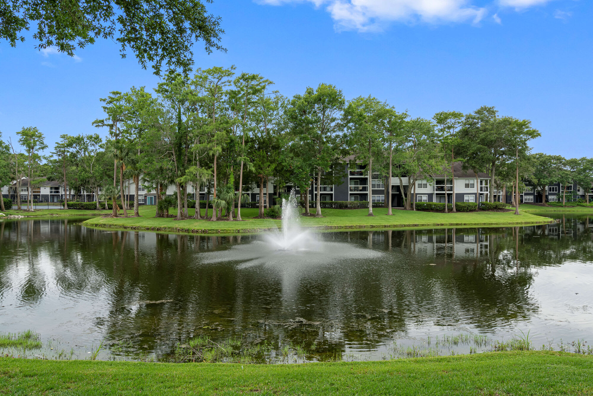 Lake Forest – photo 1