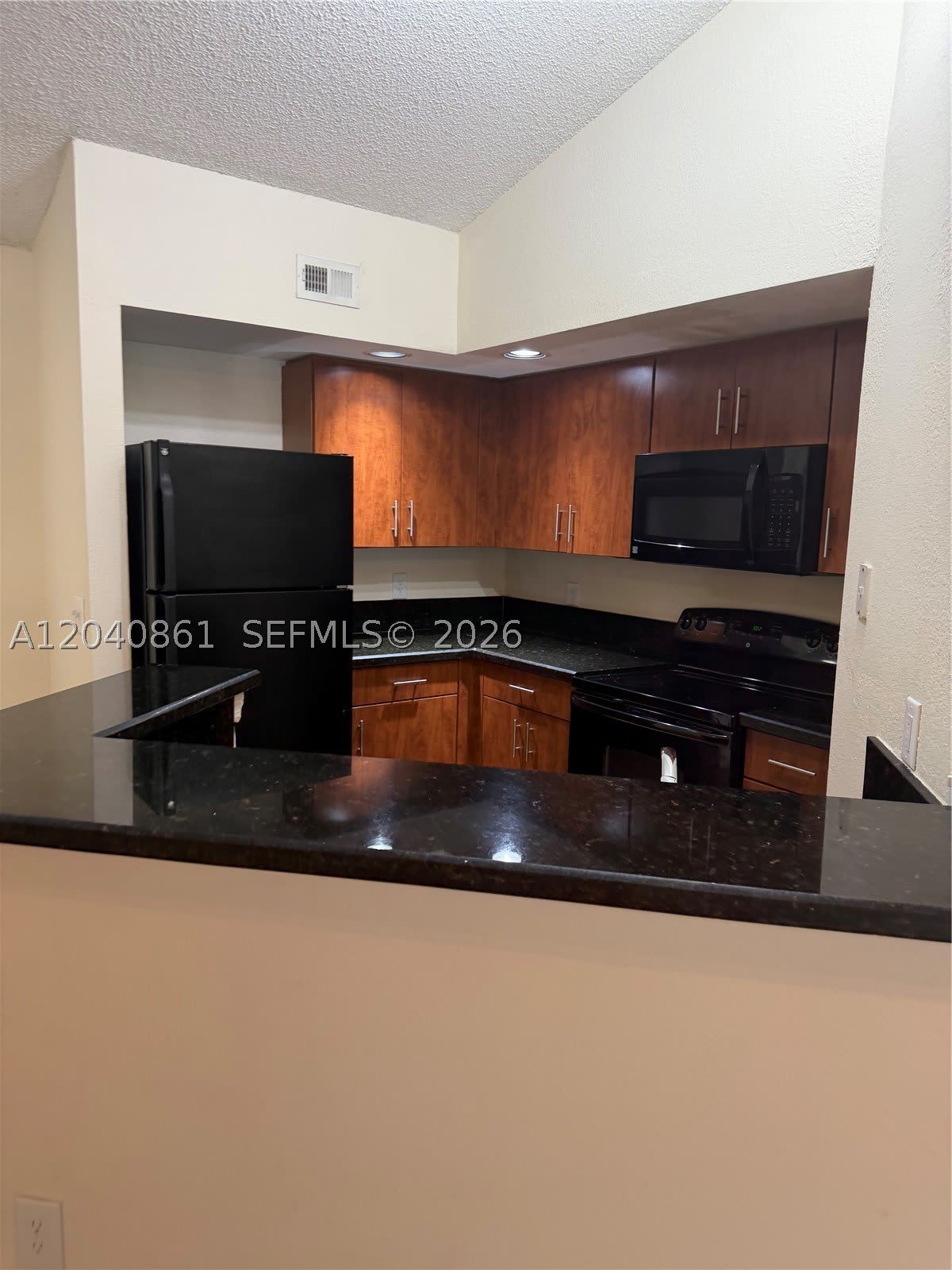 12950 VISTA ISLES DRIVE – photo 1