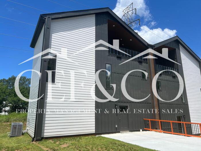 52 Lily Street – photo 1 of 57