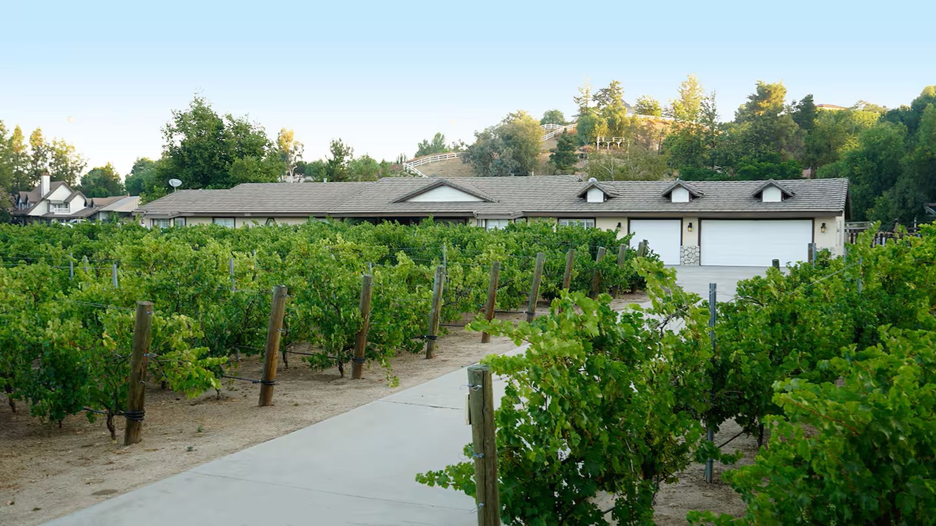 Temecula Wine Country Estate Luxury 4Br Retreat With Pool Vineyard Views Entertainment Grounds – photo 1 of 29