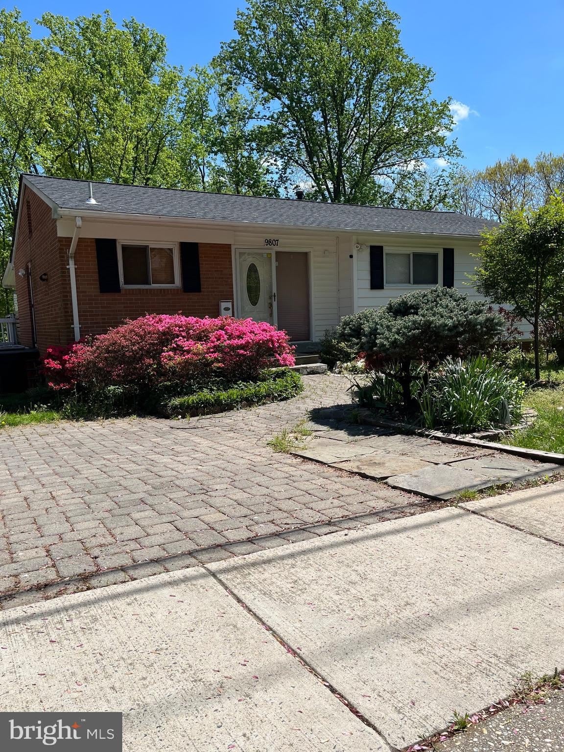9807 ARBOR HILL Drive – photo 1