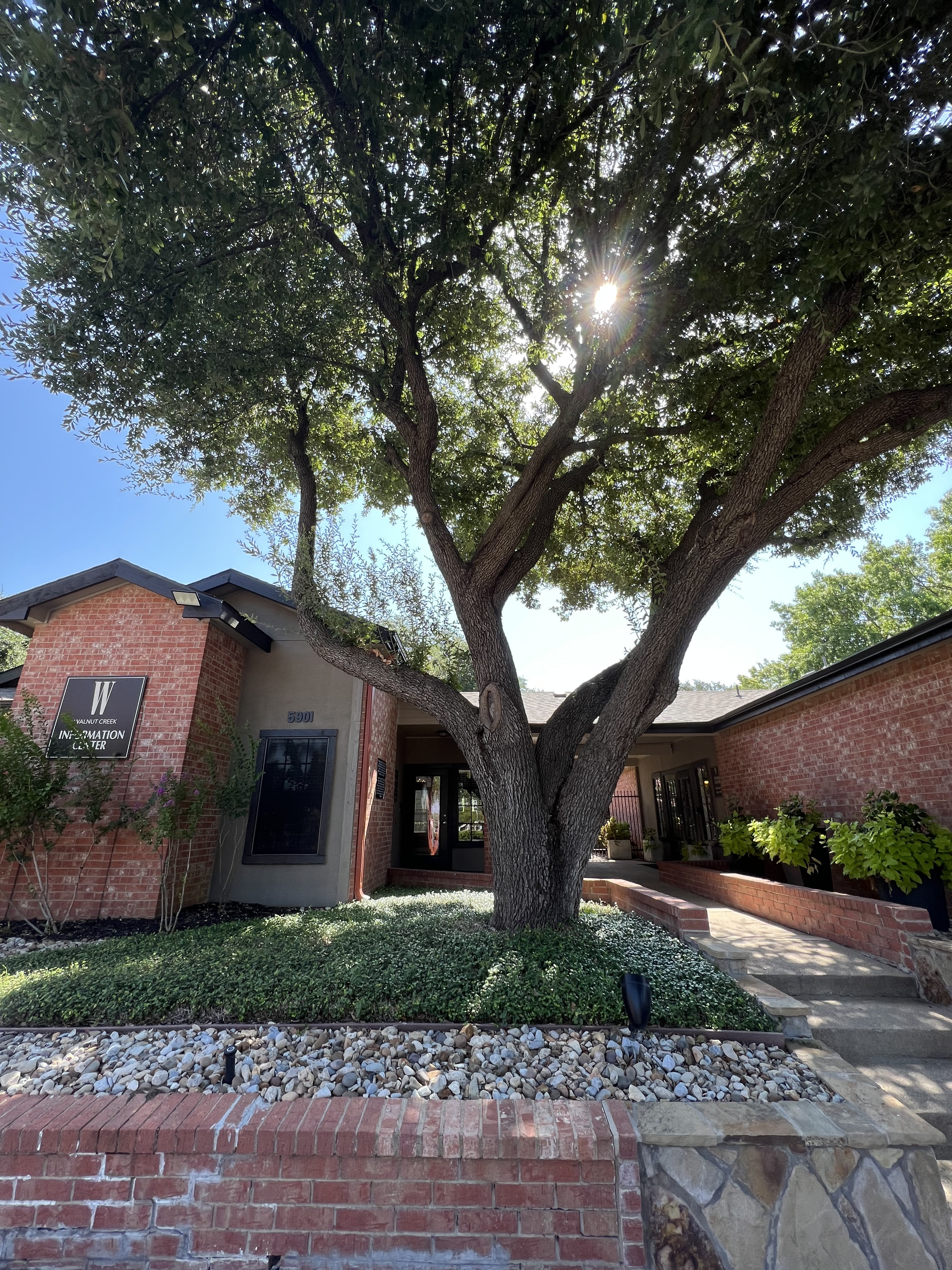 Walnut Creek Apartments – photo 1