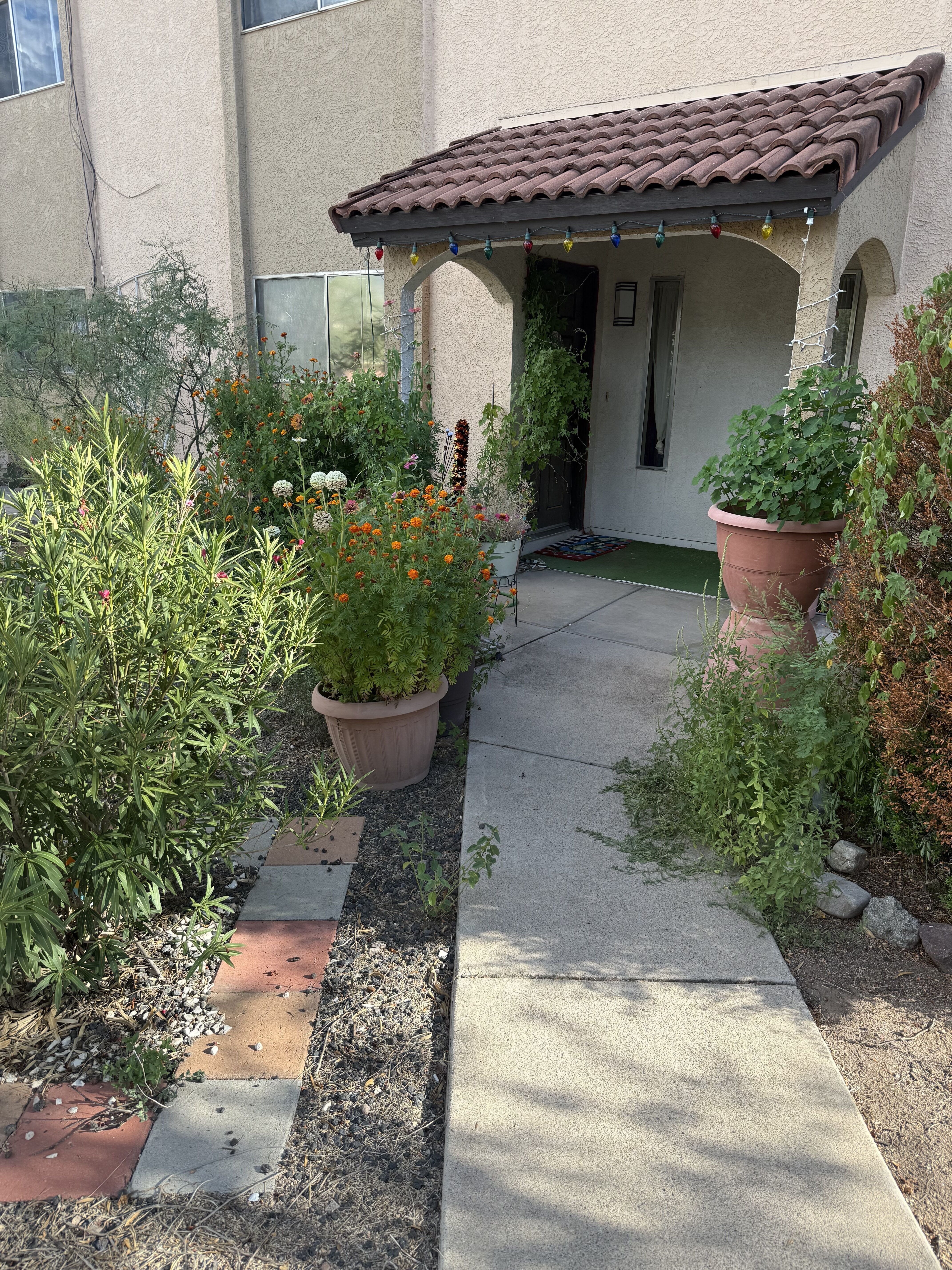 433 avenida Garza – photo 1 of 28