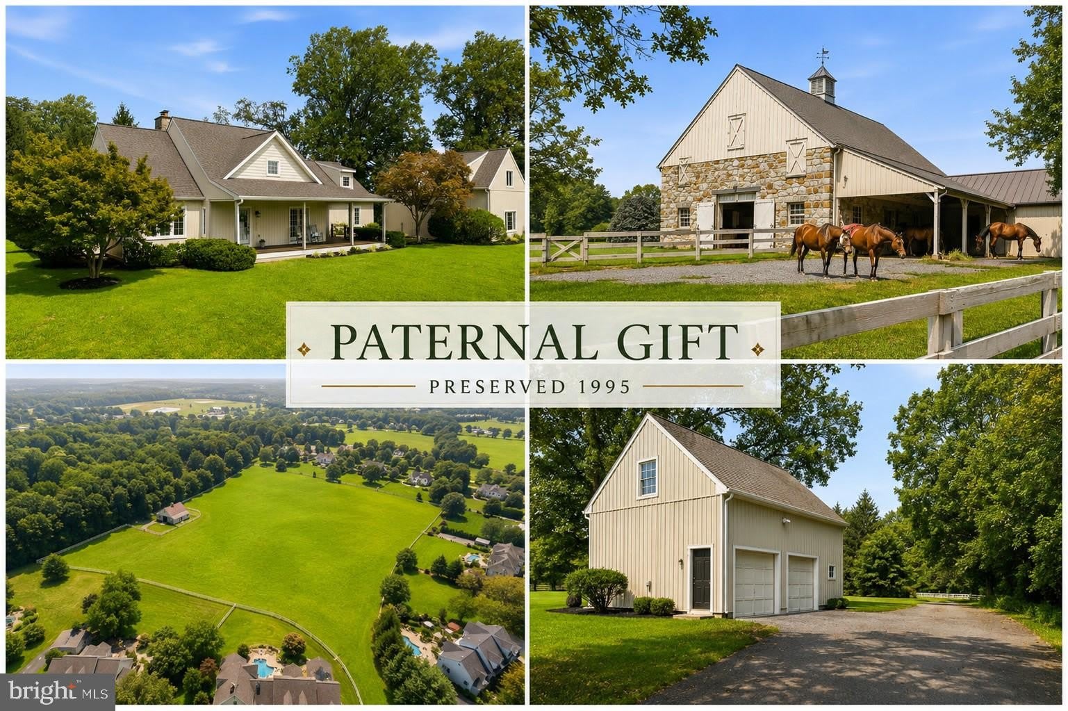 13510 Paternal Gift Drive – photo 1 of 51
