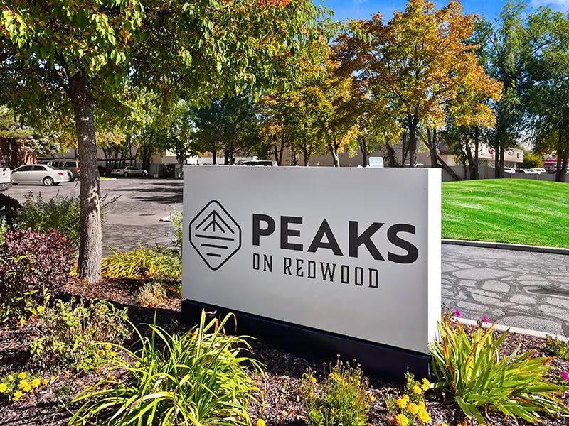 Peaks On Redwood – photo 1