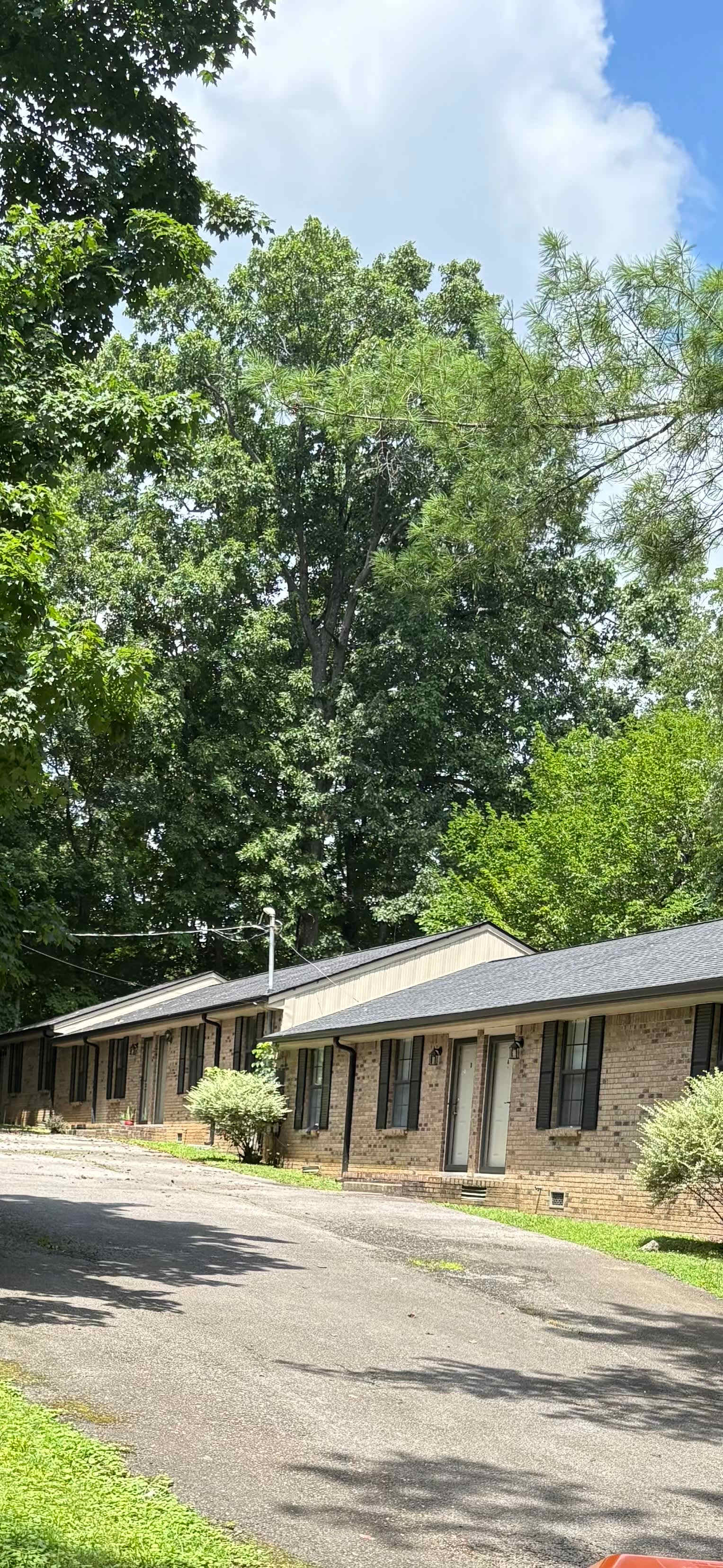 113 W Fork Dr – photo 1