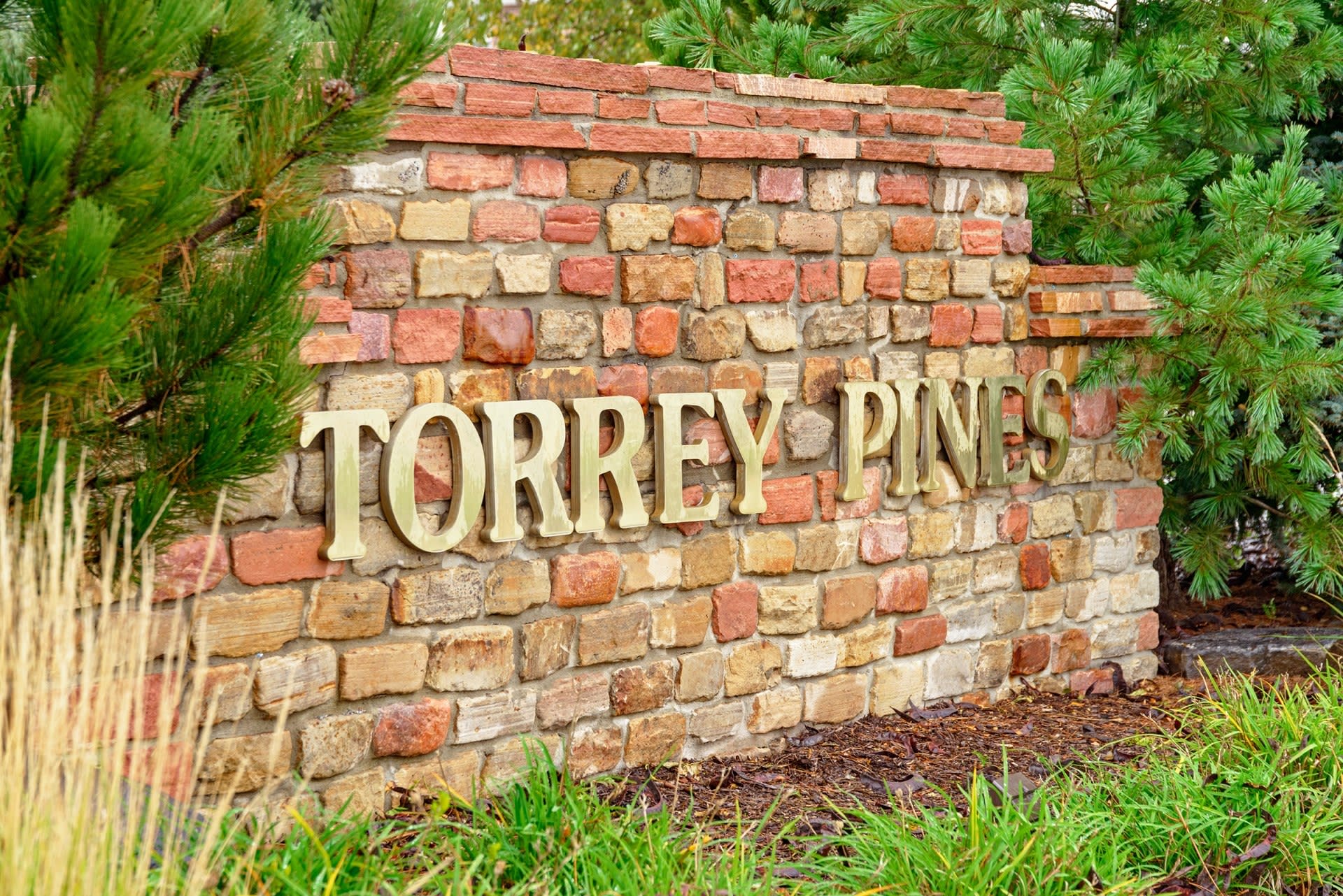 Torrey Pines – photo 1