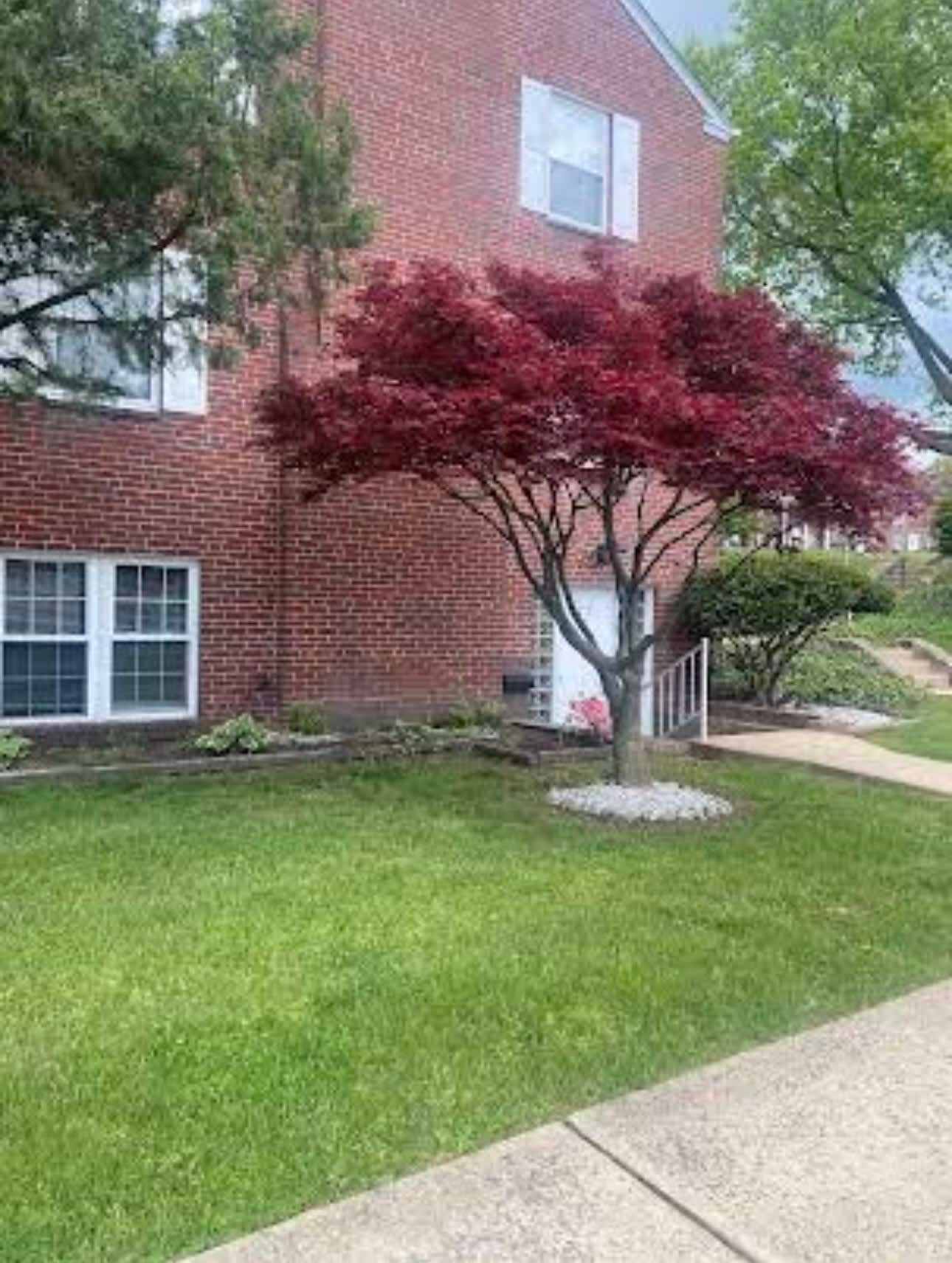200 Maplewood Drive – photo 1