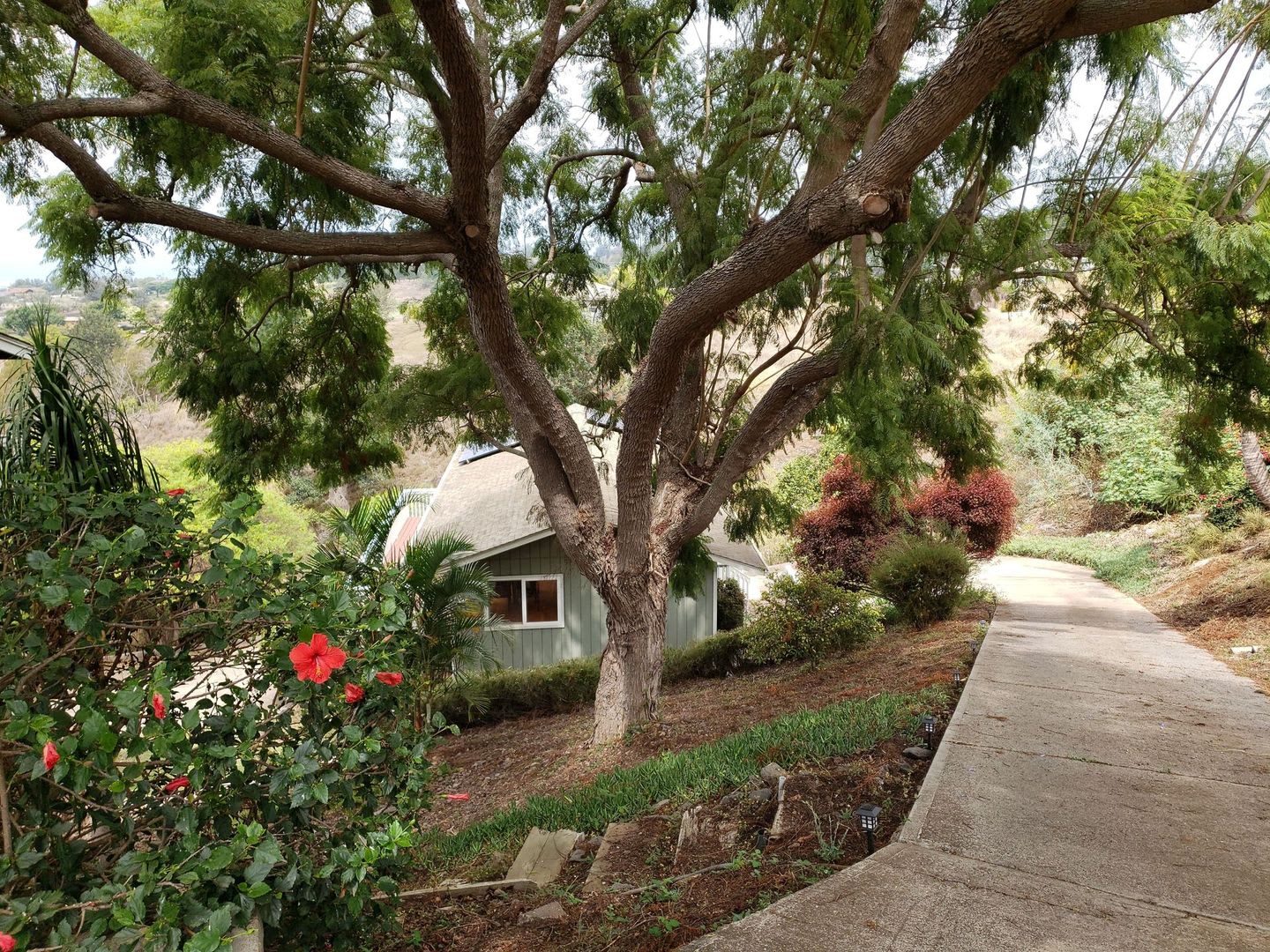 1 Bd 1Ba Unfurnished Kula Cottage Lower Kula Rd Available September 1St – photo 1 of 8