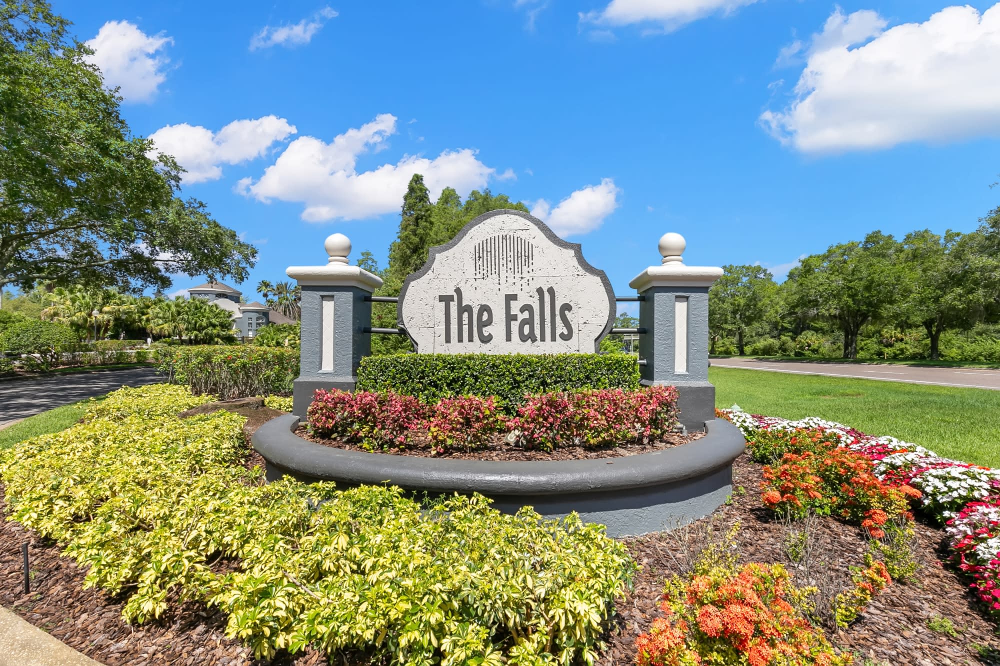 The Falls at New Tampa – photo 1