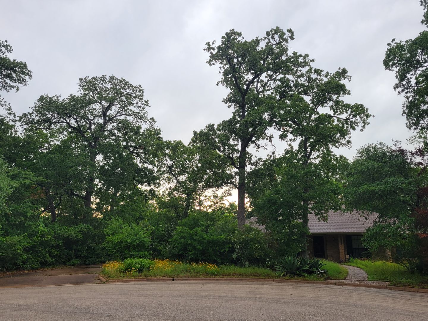 3 Bedroom 2.5 Bath Home Tucked in Cul-de-sac!! Available NOW! – photo 1