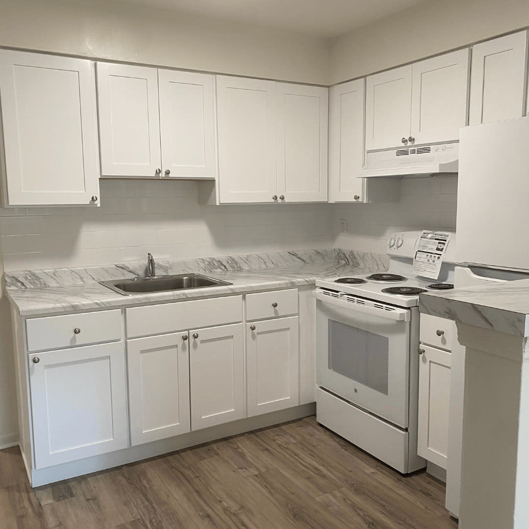 Tree Haven Apartments – photo 1 of 78