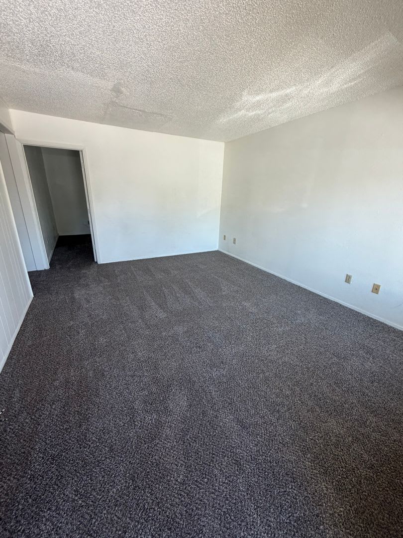 Newly Renovated 2 Bedroom, 1 Bathroom Triplex – photo 1 of 4