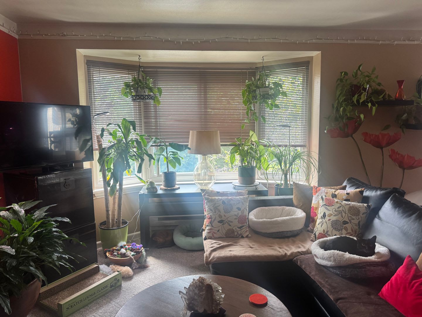 Lakecrest – photo 1