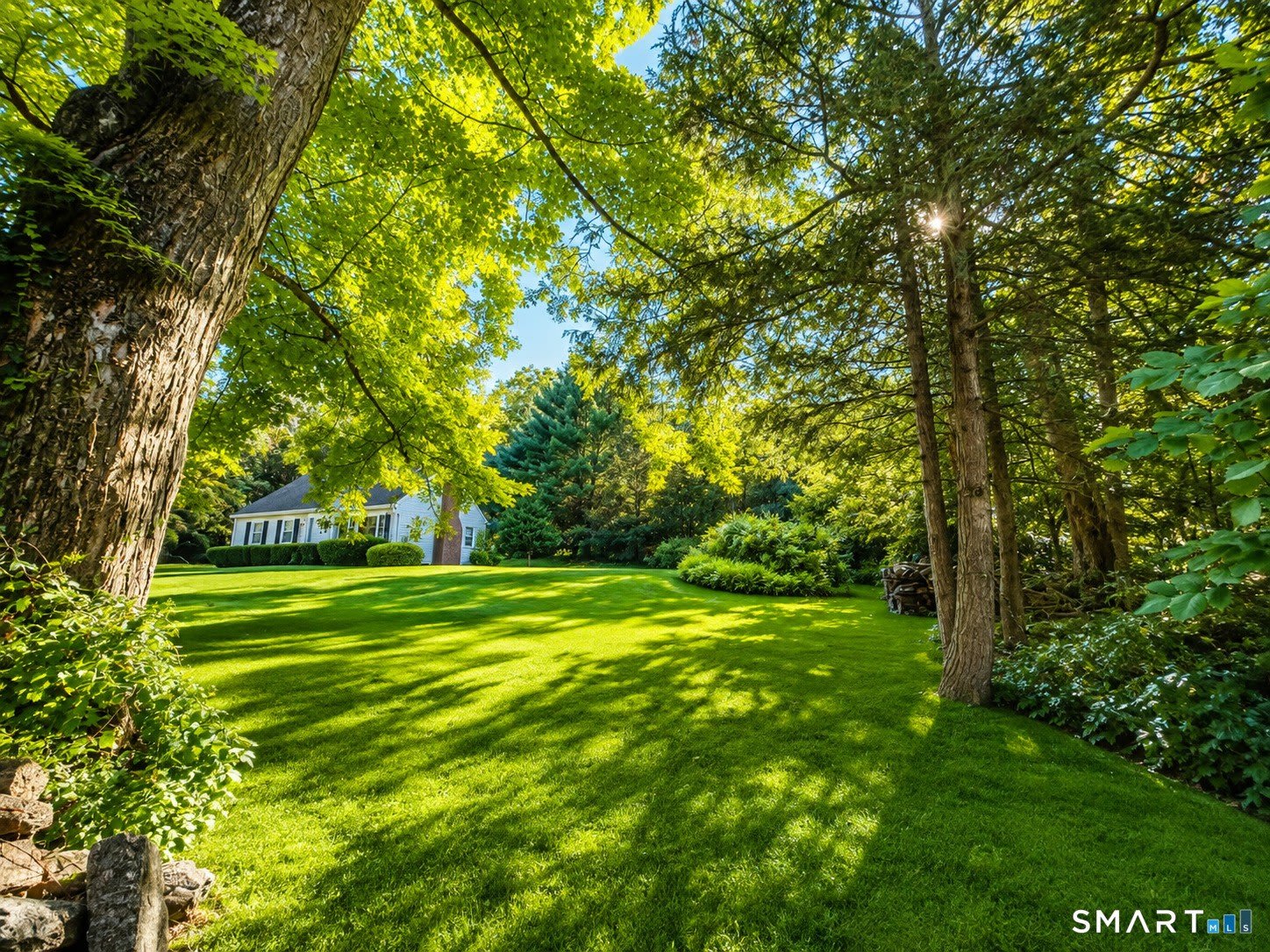 37 Weed Street – photo 1 of 19
