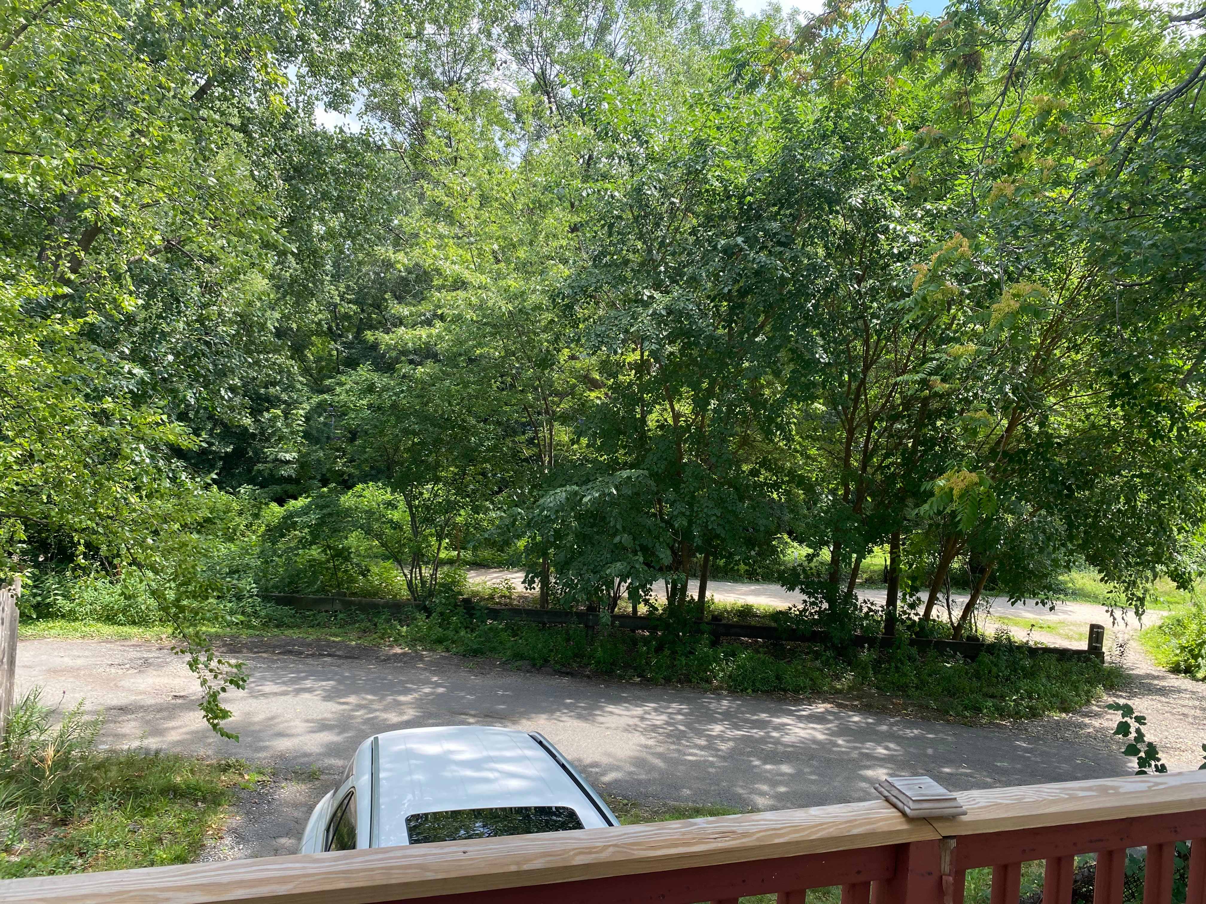 35 Sunnyside Ave – photo 1