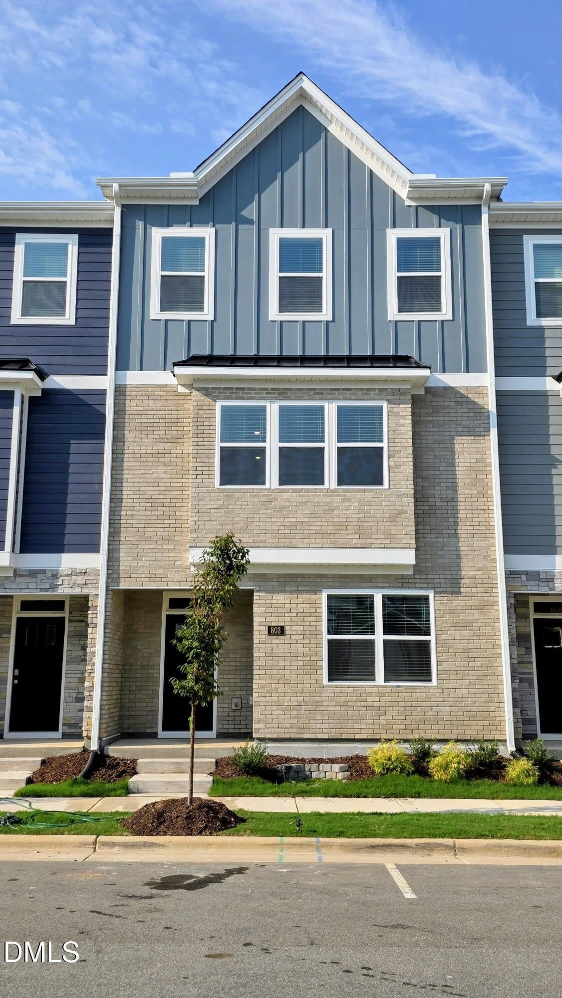 803 Lucky Clover Way – photo 1