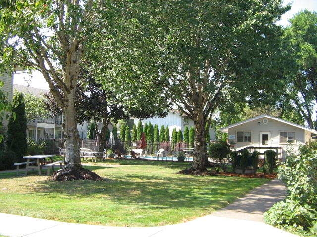3667 Main Street 15 – photo 1 of 175