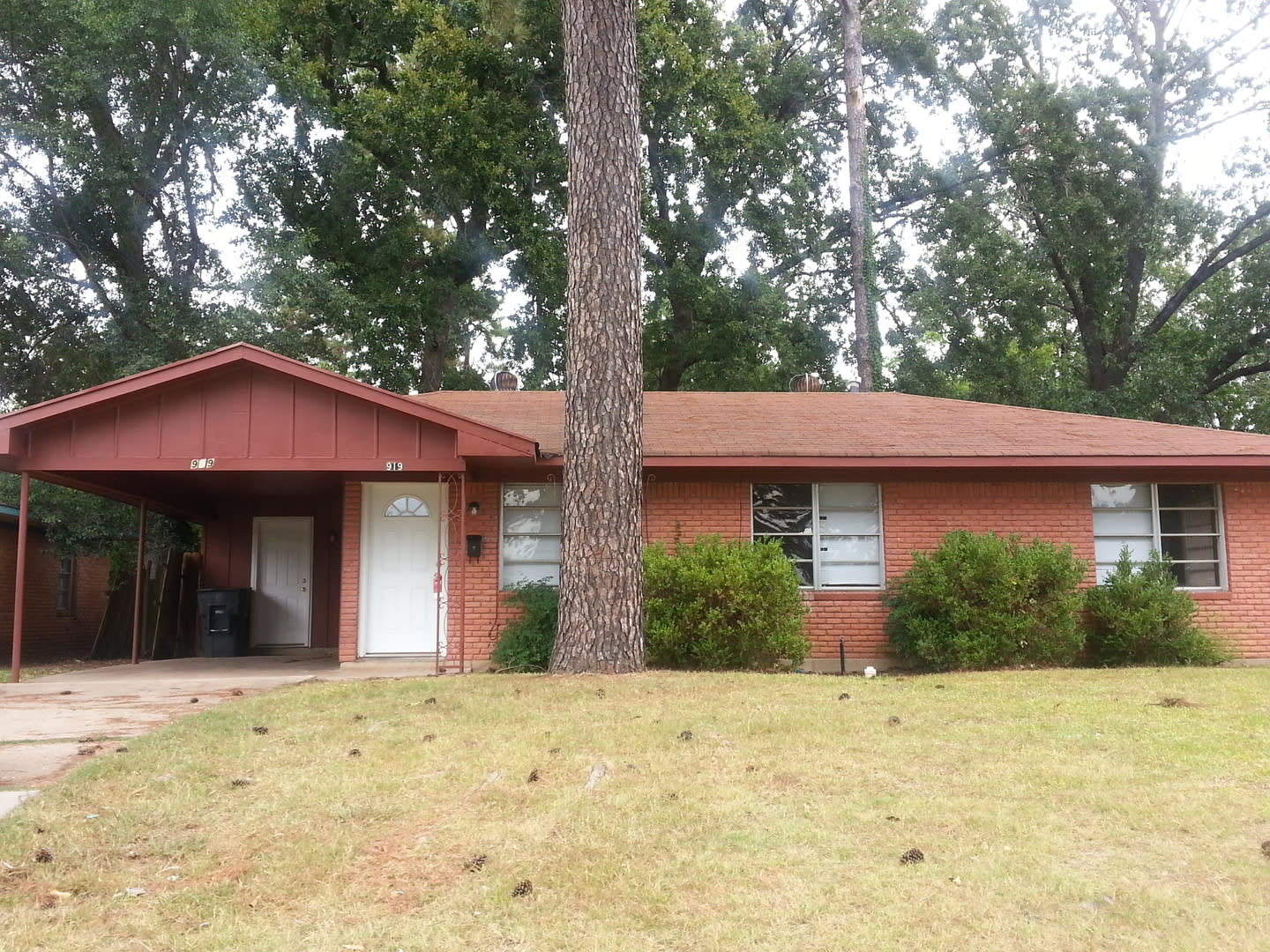 919 Pine Tree Dr – photo 1