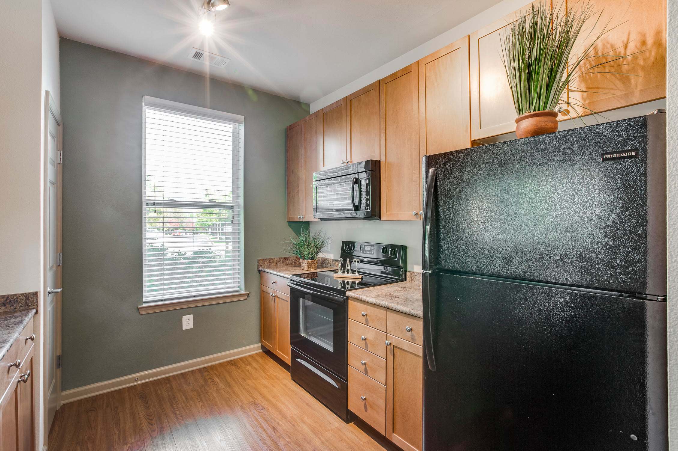 Summerfield at Morgan Metro – photo 1 of 267