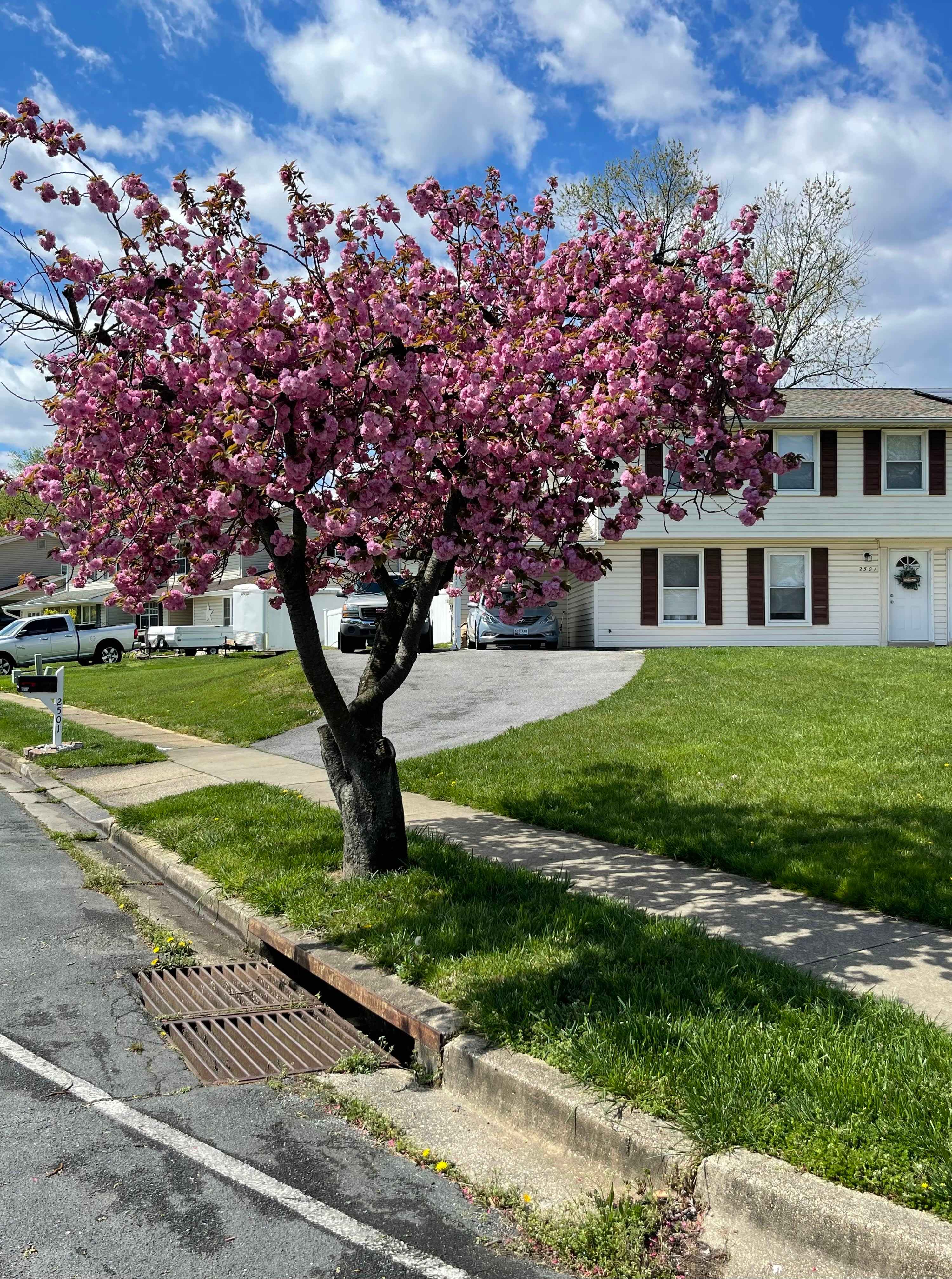 2501 Maytime Drive – photo 1