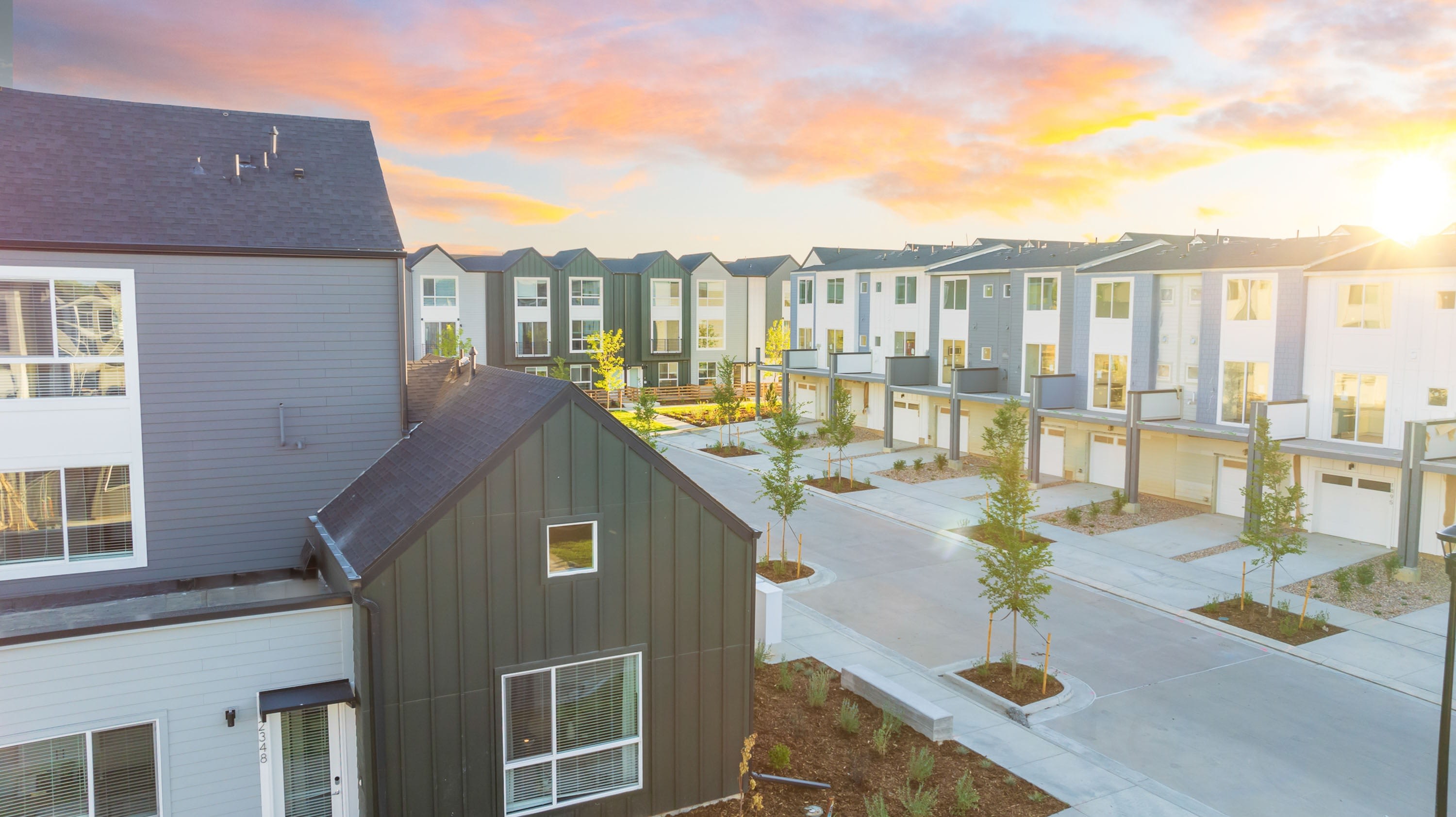 Lupine Longmont – photo 1